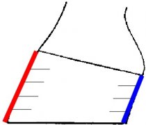 Proportions sabot âne